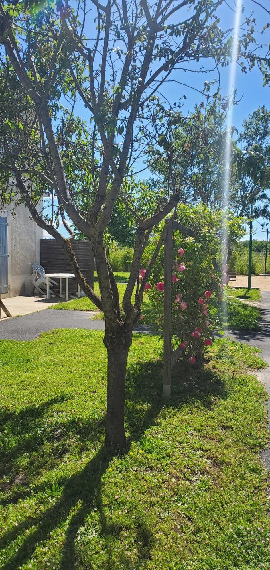 Le Canal Climatisation Wi-Fi Parking Jardin Piscine 15 Mn De Beziers Colombiers  Zewnętrze zdjęcie